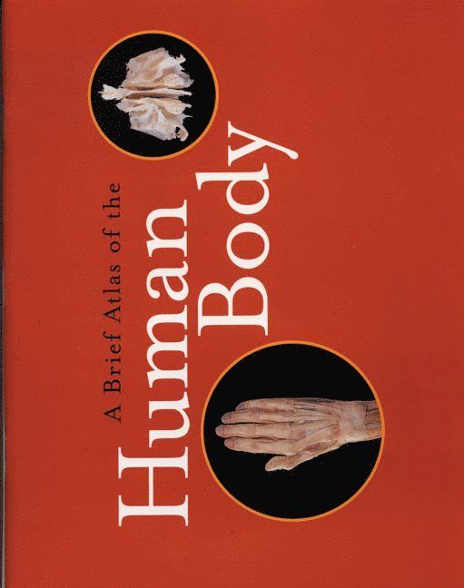 A brief atlas of the human body - 9780805353365