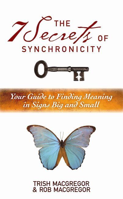7 Secrets of Synchronicity - 9781848502925