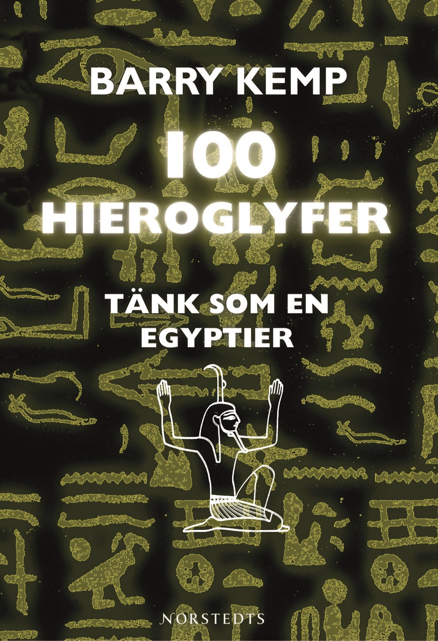 100 hieroglyfer :tänk som en egyptier - 9789113015200