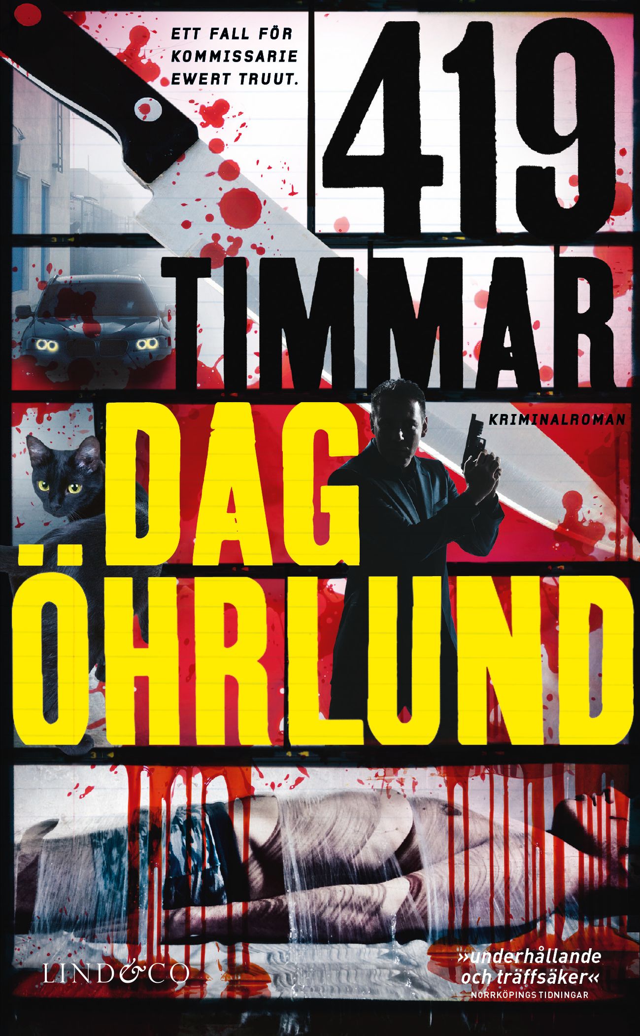 419 timmar - 9789180184366