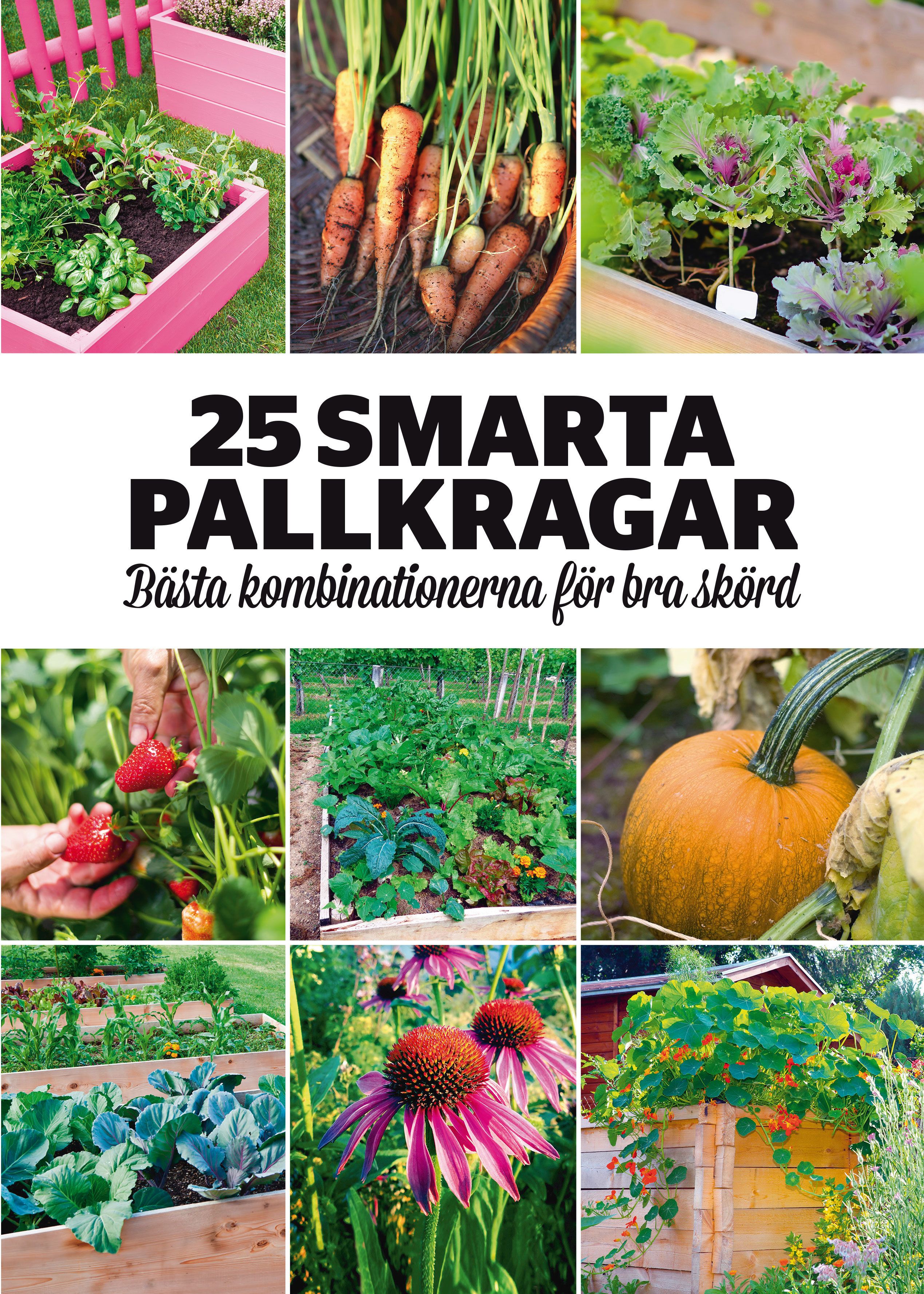 25 smarta pallkragar : bästa kombinationerna för bra skörd - 9789198205473